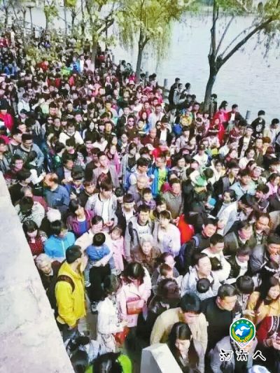 牡丹迎八方客 清明假期洛阳共接待172.16万人次