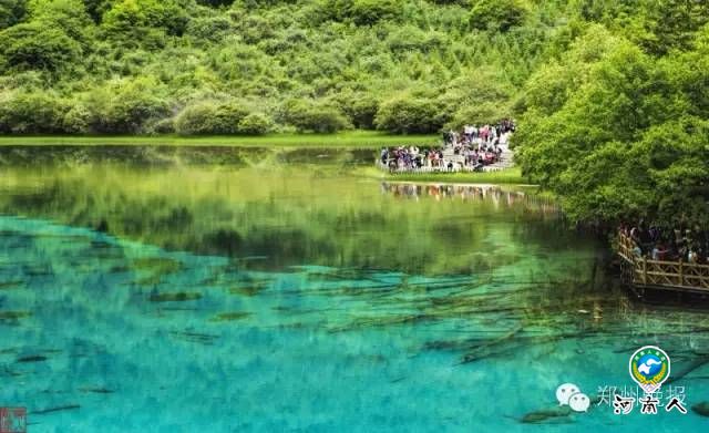  批复了，郑州铁路局5月份连开四趟旅游专列，惊动了中央电视台！ 