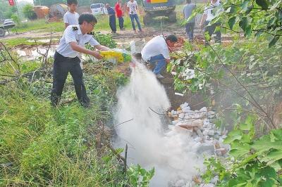 郑州机场检出不合格水果 600余斤泰国芒果被深埋销毁