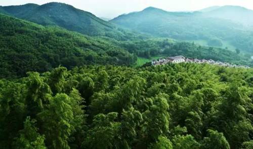 去西九华山给身心来一次完美的旅行