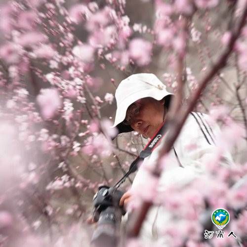 青天河邀你一起“撩”花 3月16日2018“春醒•忆老家 踏青赏花季”将启动