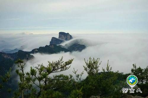 春色撩人洛阳白云山春游又现小高峰