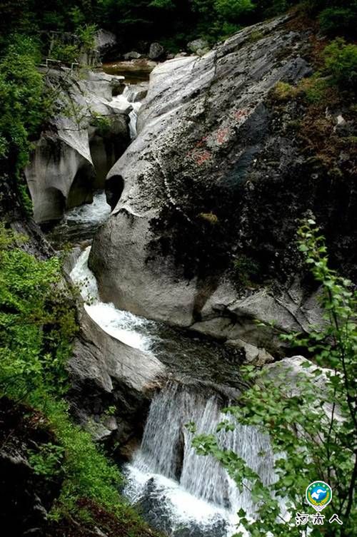 春色撩人洛阳白云山春游又现小高峰