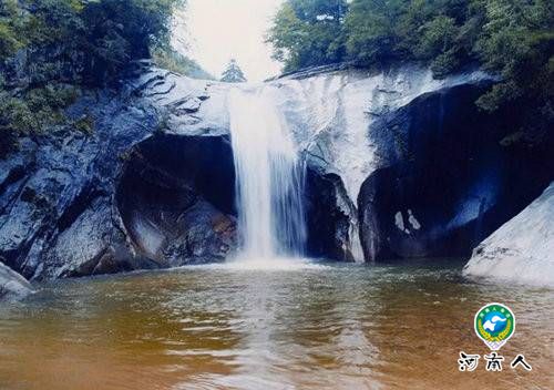 春色撩人洛阳白云山春游又现小高峰